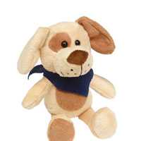 Peluche